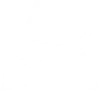 logo condensed